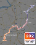 202 버스 시간표