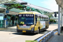 6019 버스 시간표