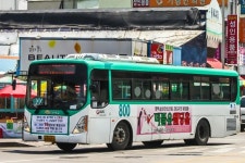 800 버스 시간표