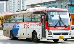 8156 버스 시간표