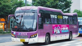 8165 버스 시간표