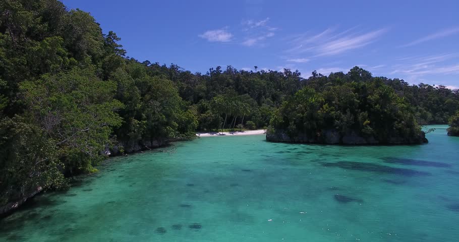 A11 버스 시간표