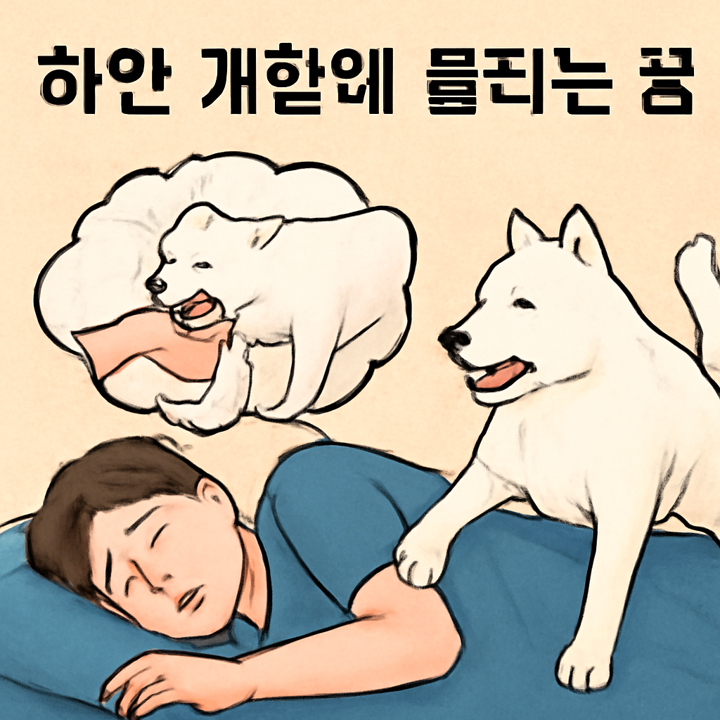 하얀개한테물리는꿈 - 꿈 해몽, 꿈 풀이(+자세한 해석)이미지