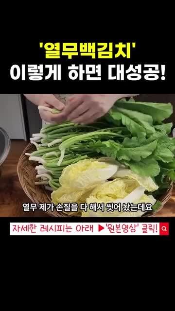 땅끝마을 임선생