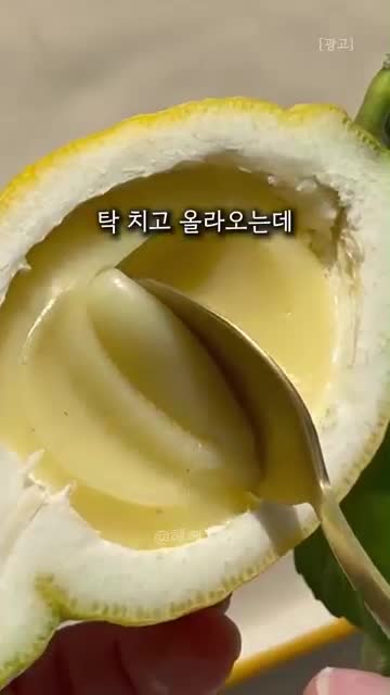헤헤홈템