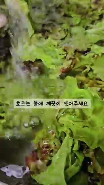 보통 집밥.건강을 담다