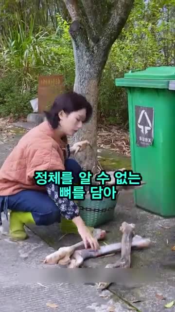 거꾸로 오르는 계단