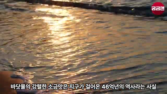 46억 년의 역사와 오늘날의 바다