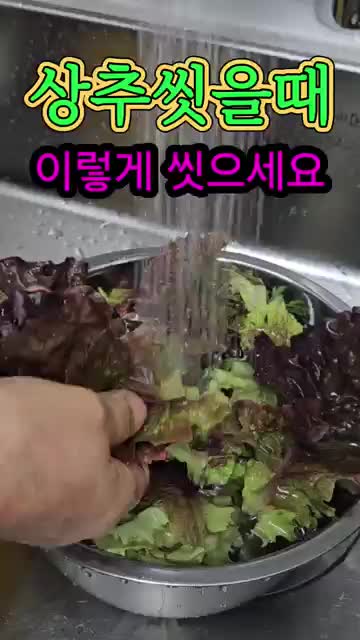 단지네그린하우스(Greenhouse)