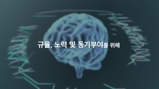 intro-신경과학에 기반한 동기부여의 이해