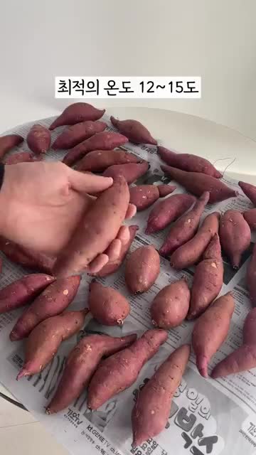 최적의 보관 온도와 위치