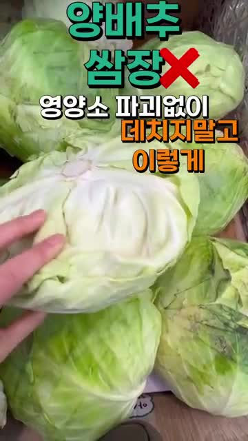미르스가든미르의정원tv