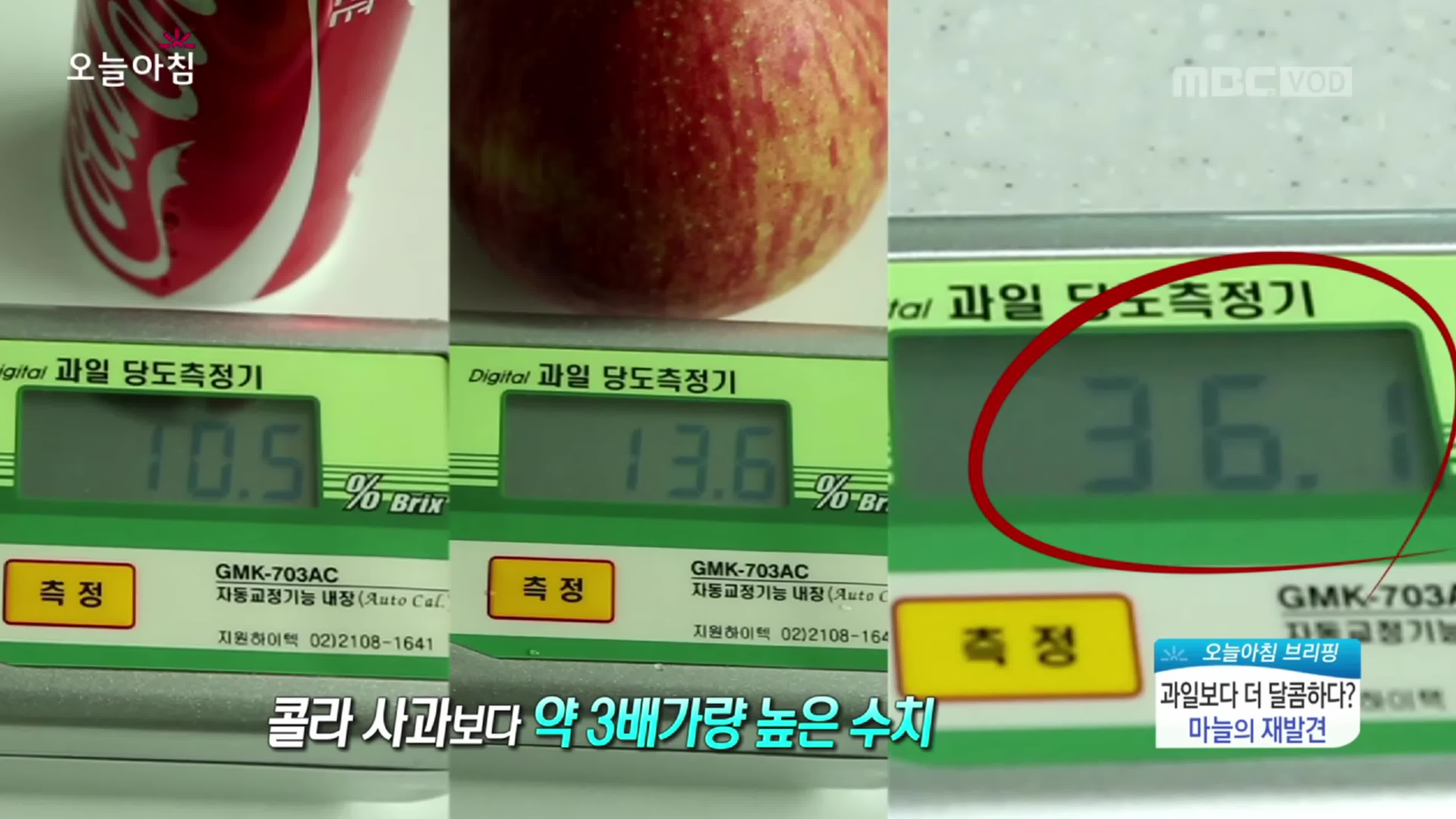 마늘의 당도와 브릭스의 이해