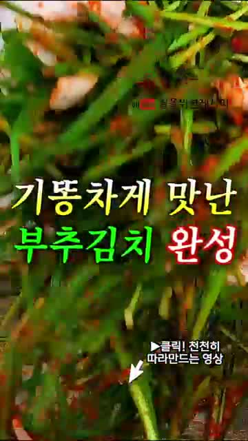 딸을 위한 레시피 Recipes for daughters