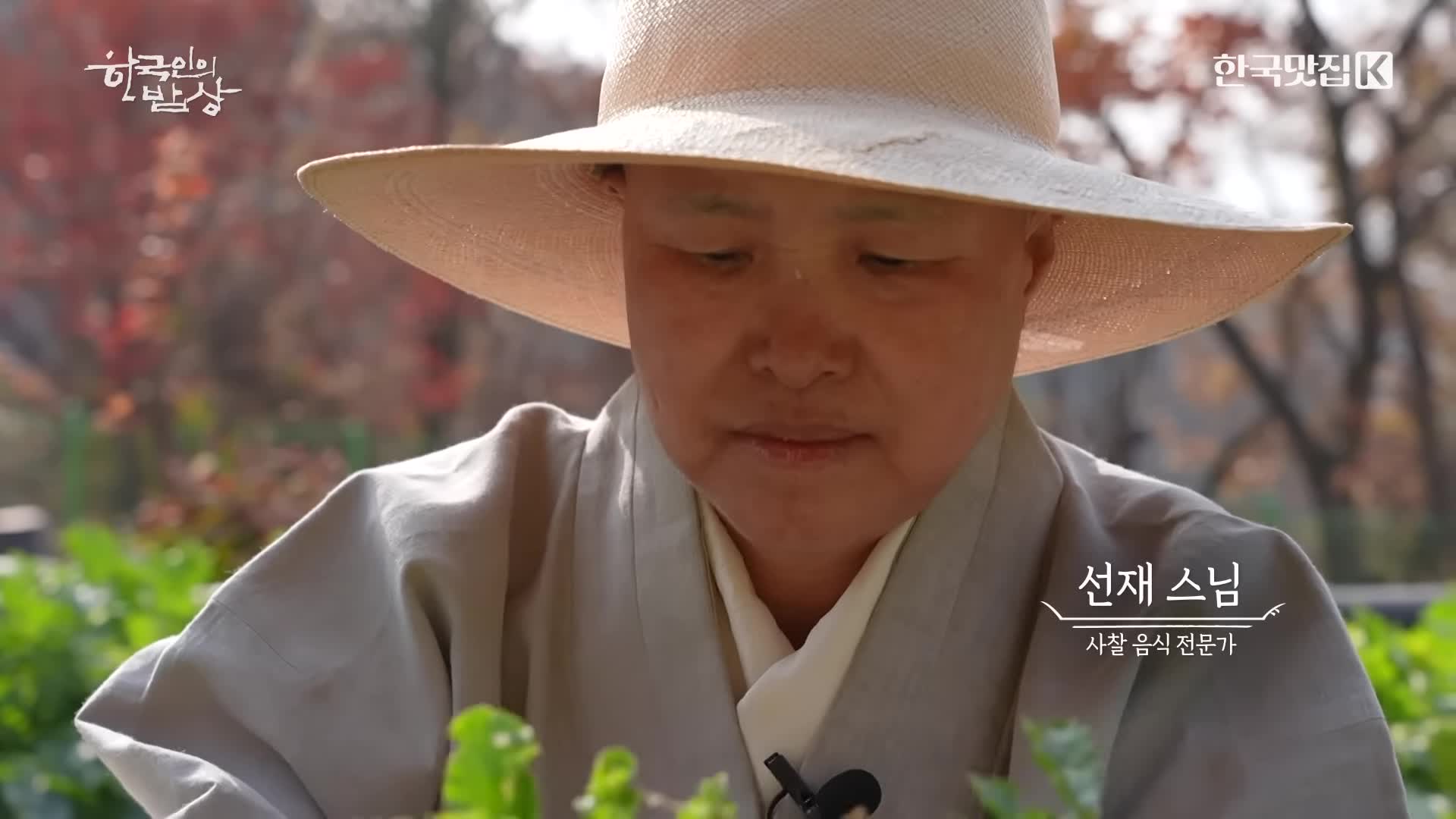 선재 스님과 무에 대한 첫 만남