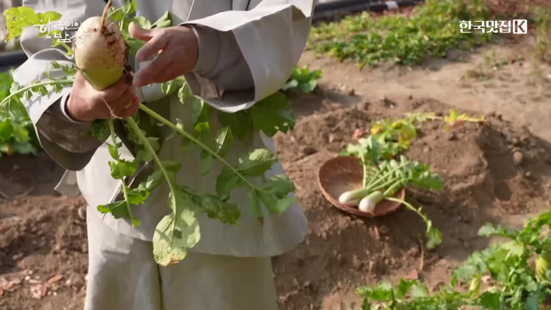 무에서 유를 찾다