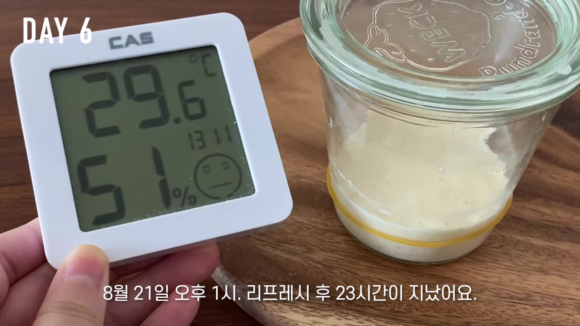 르방 상태 확인하는 법