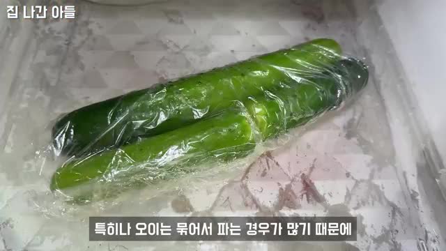 오이를 얼리는 방법