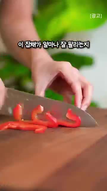 살림요정
