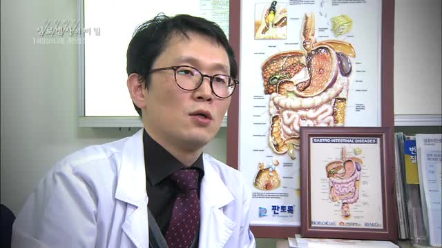 장 건강을 위한 식단 전략