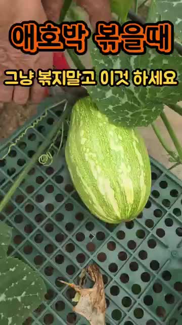 단지네그린하우스(Greenhouse)