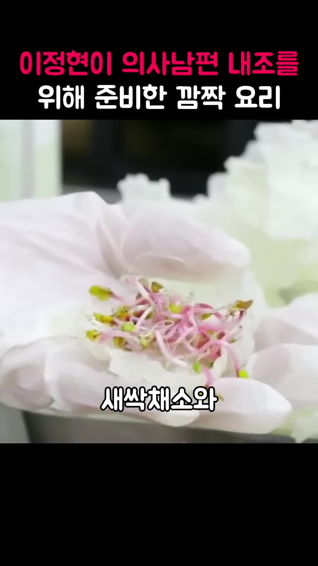 신선한 재료 선택하기