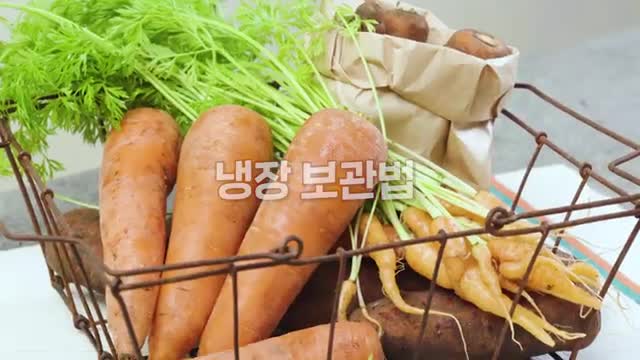 냉장 보관의 중요성에서 시작하기