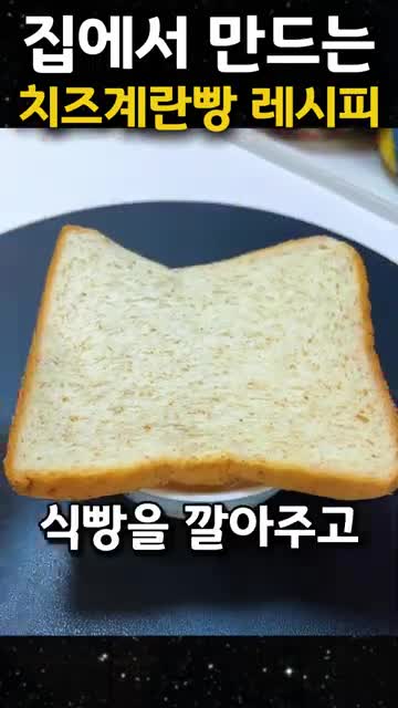 곰백과사전