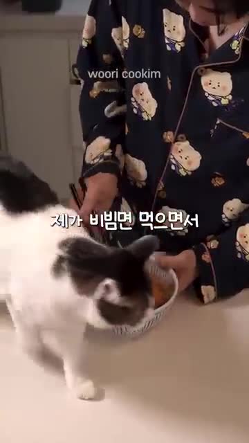 oh my chef-cooking youtube