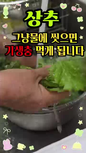 단지네그린하우스(Greenhouse)