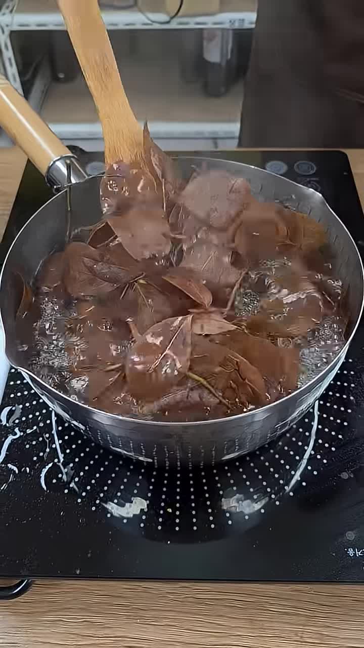 감태나무 잎 채취하는 방법