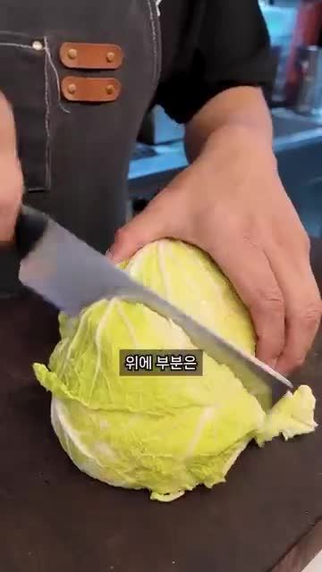 일하는 용형
