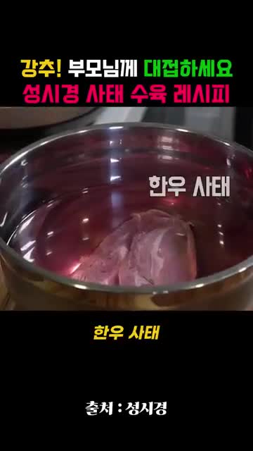 모트리