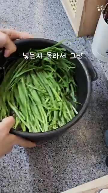 집요_Jibyo