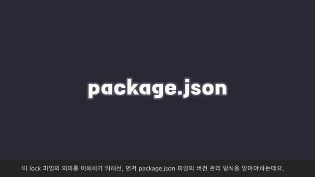 npm과 패키지 설치 과정