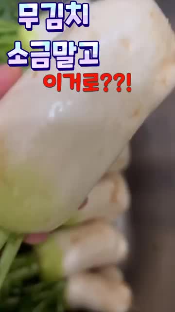 미르스가든미르의정원