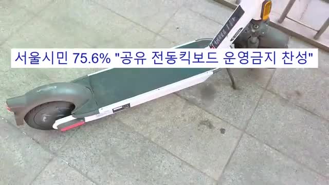 국민 의견과 반응