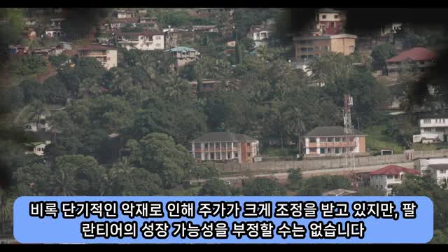 팔란티어의 장기 성장 가능성