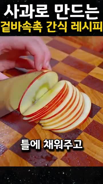 곰백과사전