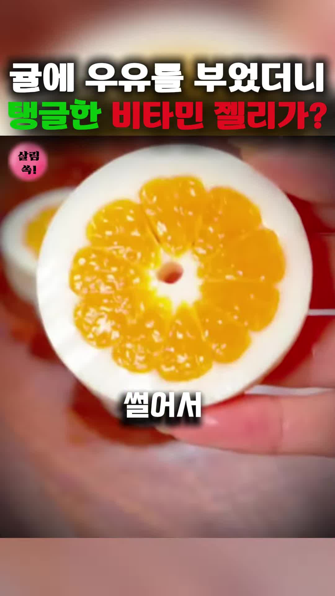 완성된 젤리의 플레이팅