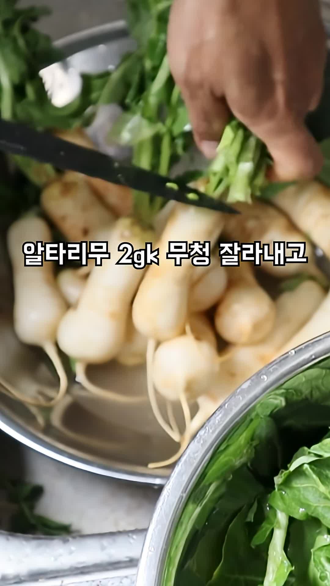 김치 만들기의 기본 재료 소개