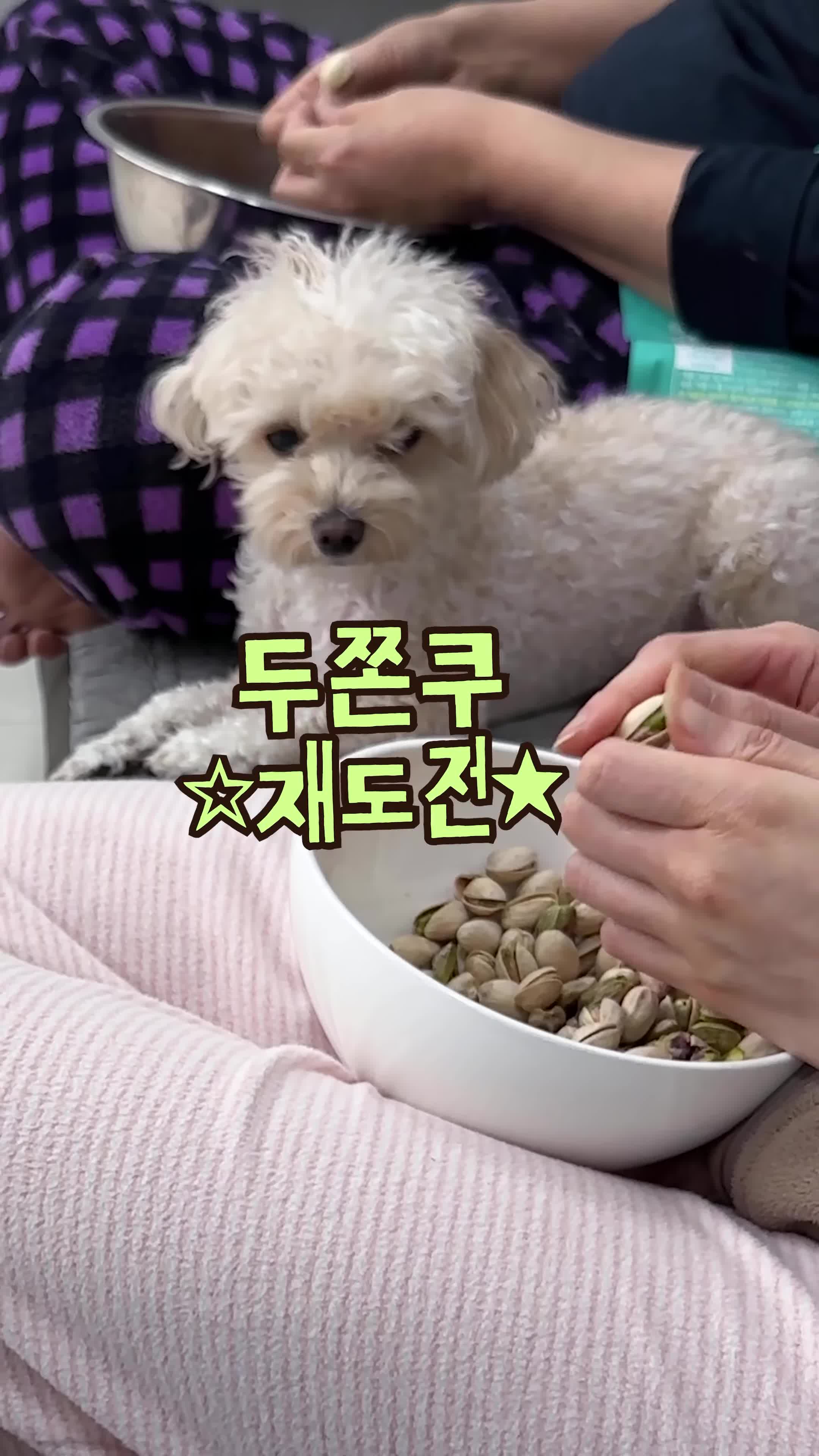 intro-두바이의 특별한 디저트 소개