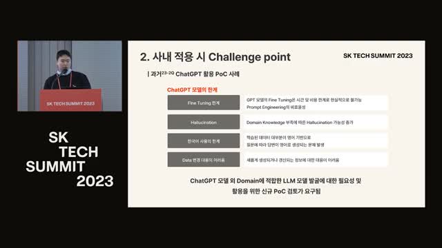 LLM 도메인 적용의 도전 과제
