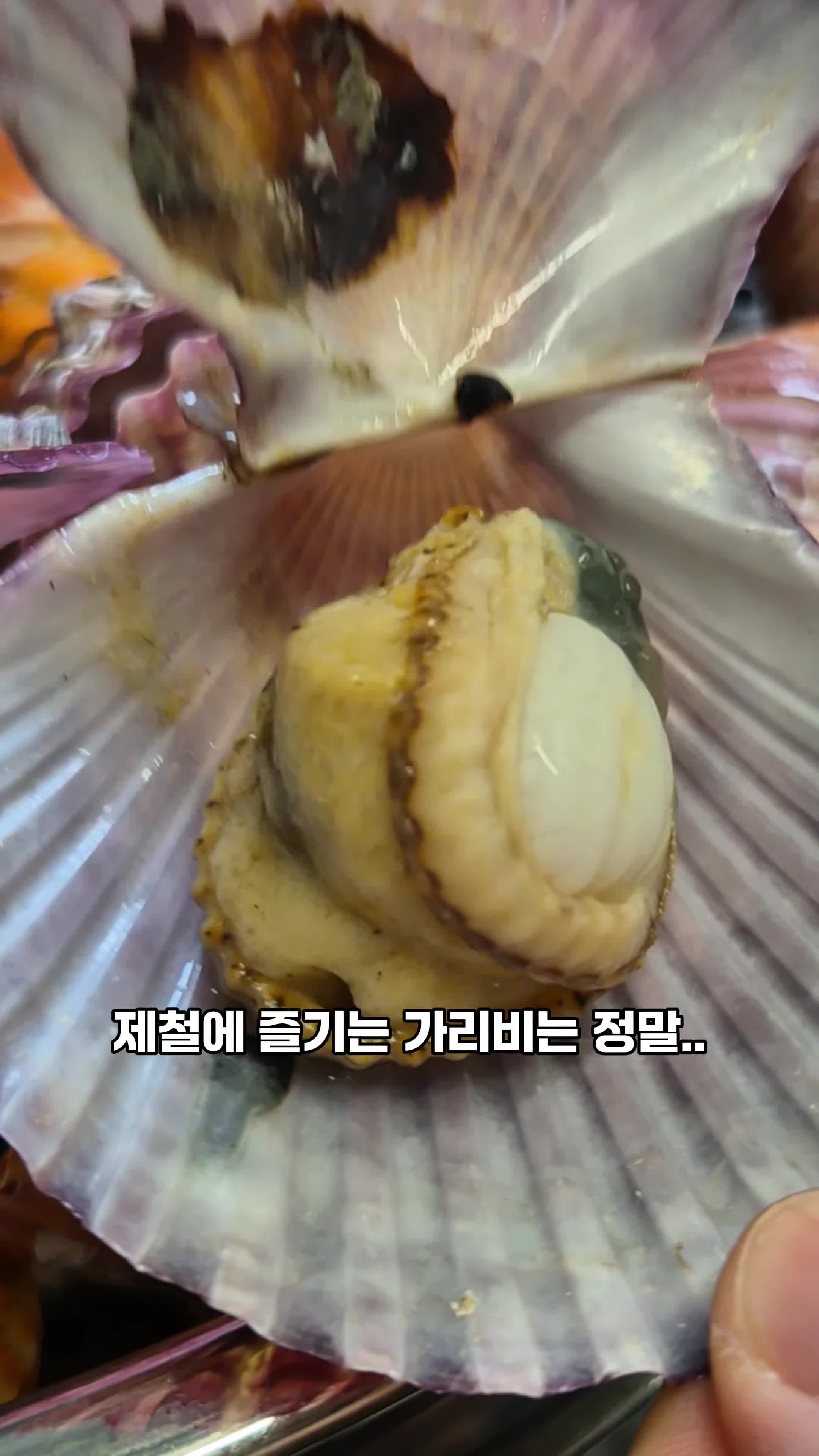 홍가리비의 매력과 제철 요리의 중요성