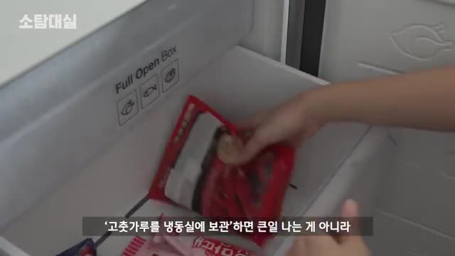 냉동실 vs 냉장고 고춧가루 저장 온도 비교