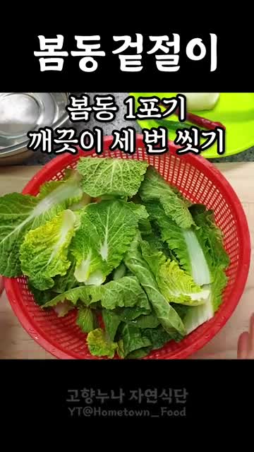 고향누나 자연식단