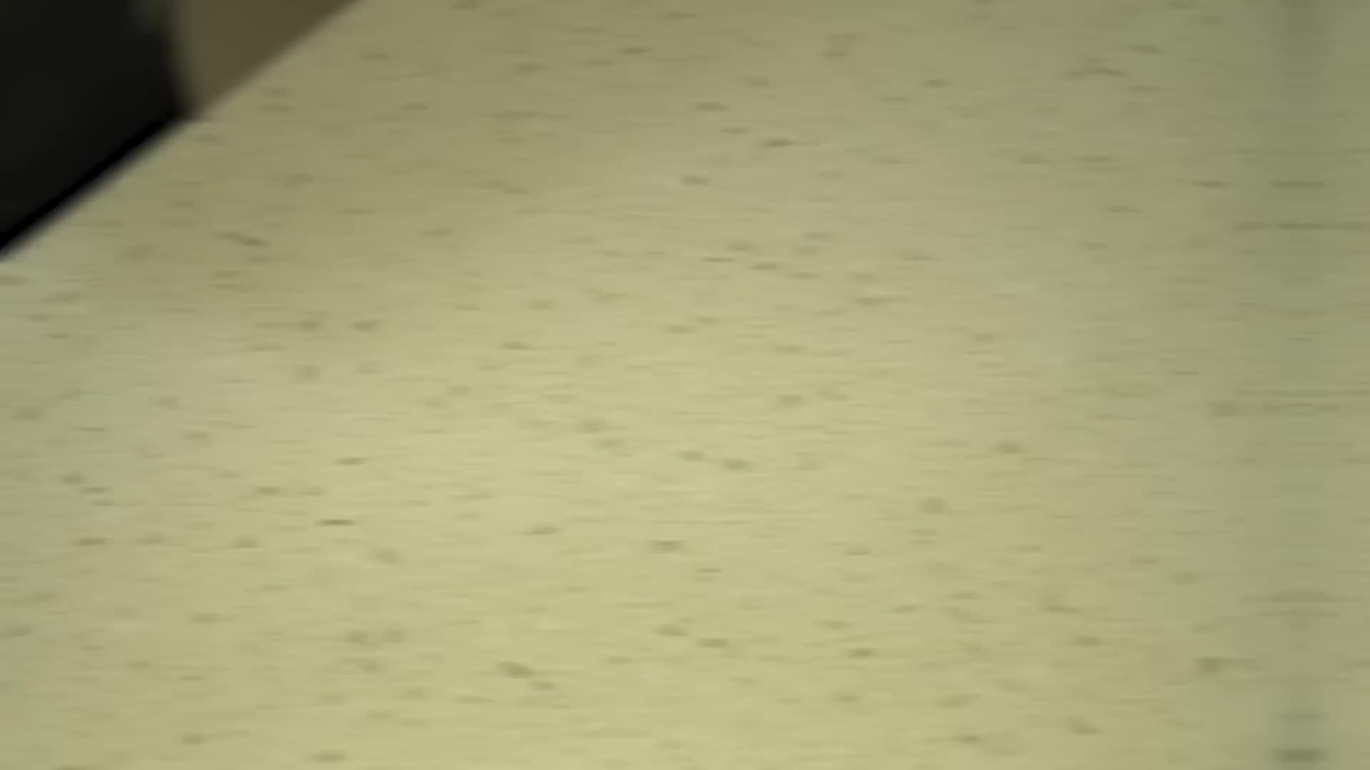 양념의 중요성과 조리 팁