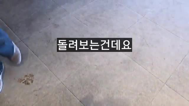 미래 전망과 최선의 시나리오