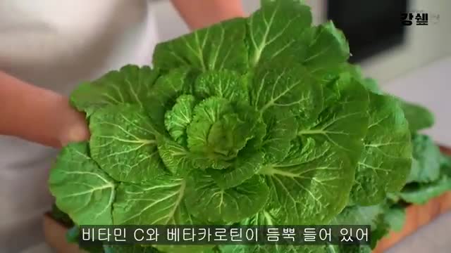 intro-봄동의 영양소와 요리의 장점