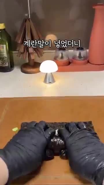 심플혜영 TV